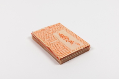 - compendium (welt), pvc, permanent-pen, each around 22x10cm, double-sided, 2023-24