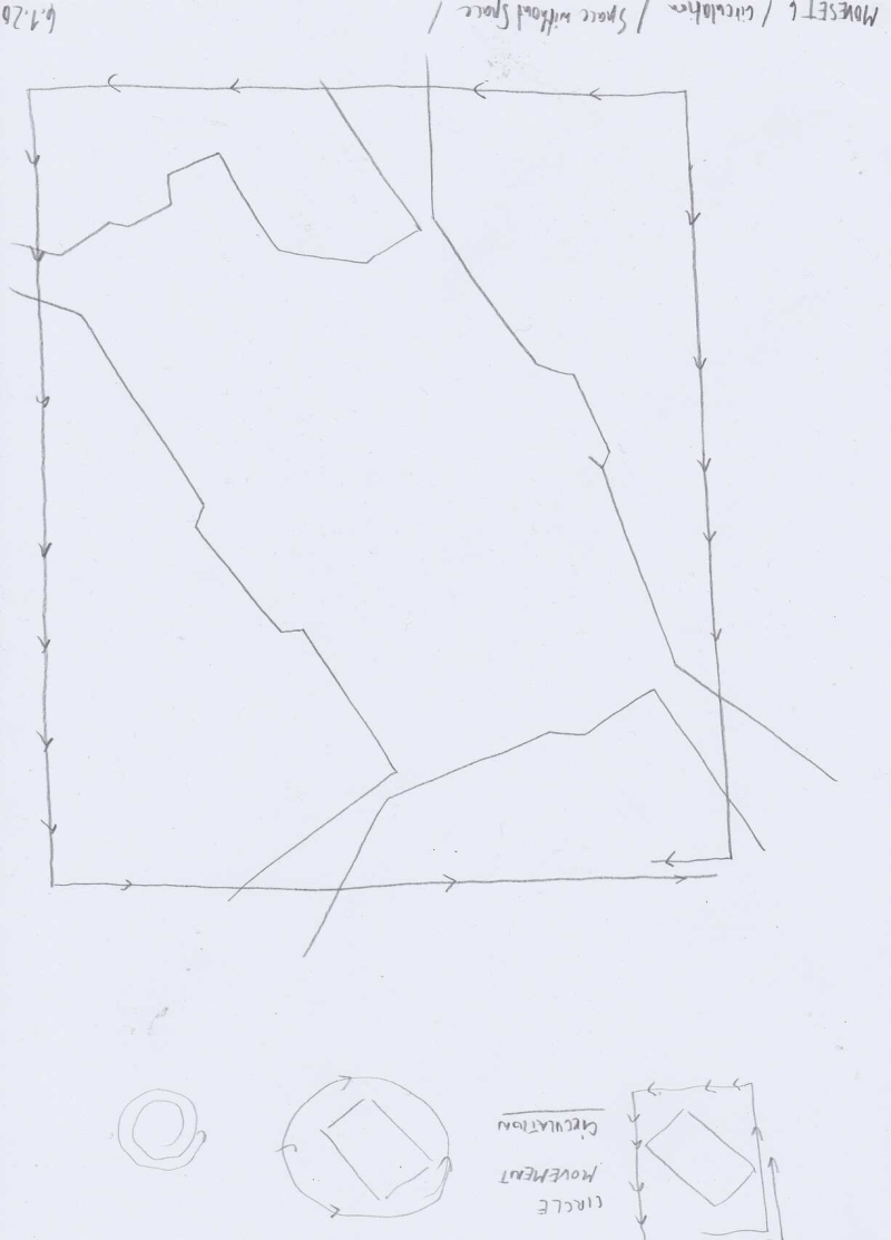   - notations on movement (first moveset, space analysis, movement analysis, space choreography, documents of movement ), pencil, graphite and pen on paper, each 21x29,7cm, 2020